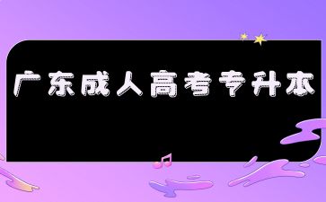 2024年廣東成考專升本專業怎么選擇？